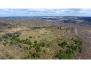 Property photo 32 - LAND AUCTION - 2,596+/- ACRES IN 28 TRACTS IN COSHOCTON & MUSKINGUM COUNTIES, OHIO